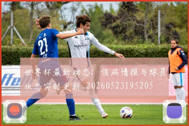 世界杯最新动态:伤病情报与球员状态实时更新_20260523195205